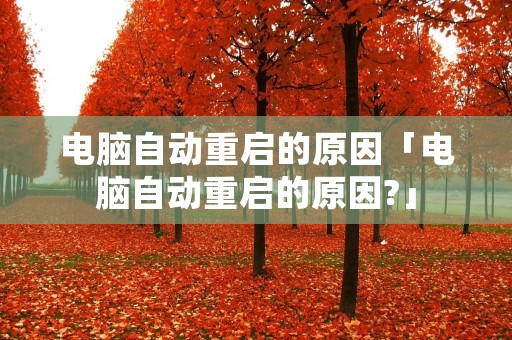 电脑自动重启的原因「电脑自动重启的原因?」