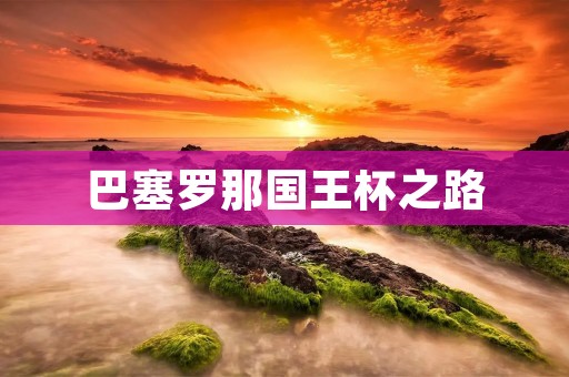 巴塞罗那国王杯之路:巴萨的辉煌与挑战