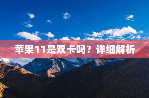 苹果11是双卡吗？详细解析