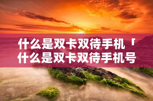 什么是双卡双待手机「什么是双卡双待手机号」
