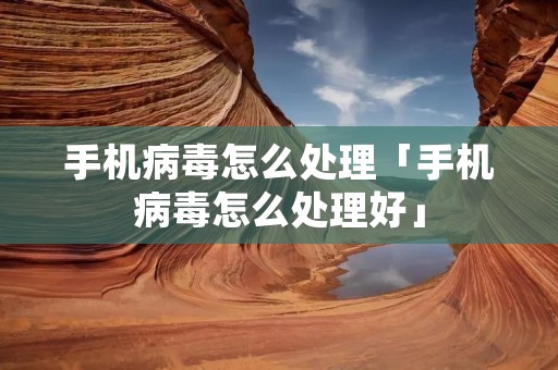 手机病毒怎么处理「手机病毒怎么处理好」 手机病毒怎么处理「手机病毒怎么处理好」