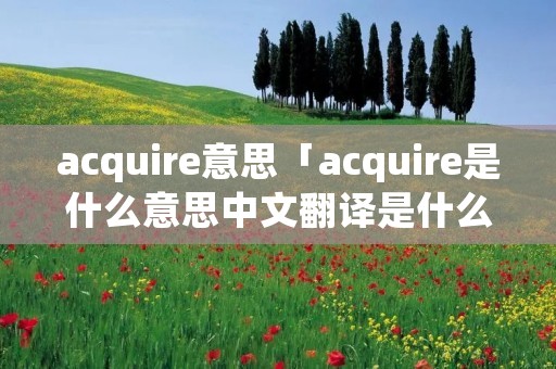 acquire意思「acquire是什么意思中文翻译是什么意思啊了」