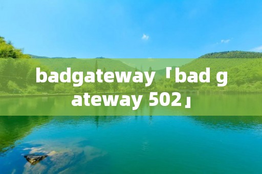 badgateway「bad gateway 502」