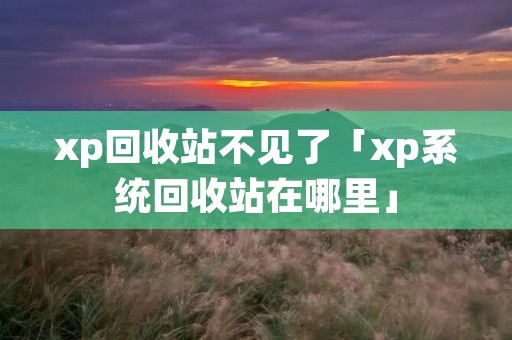 xp回收站不见了「xp系统回收站在哪里」