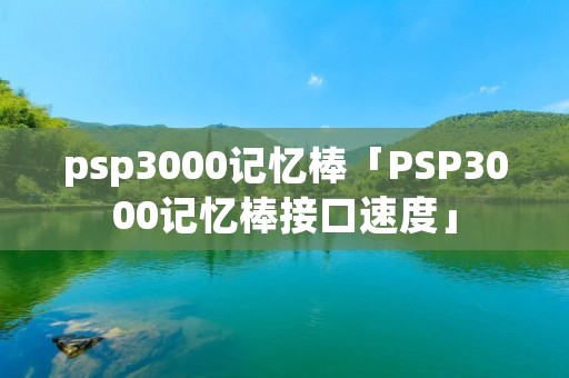 psp3000记忆棒「PSP3000记忆棒接口速度」