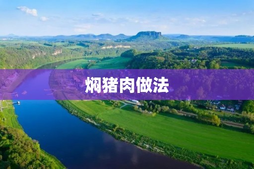 焖猪肉做法:美味炖煮的秘密揭秘 焖猪肉做法:美味炖煮的秘密揭秘