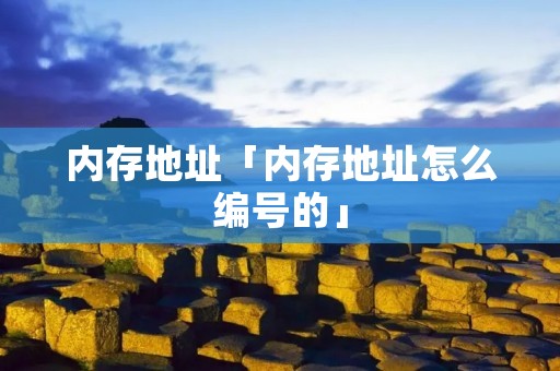 内存地址「内存地址怎么编号的」