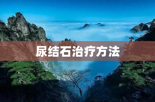 尿结石治疗方法:全面了解与应对尿结石问题