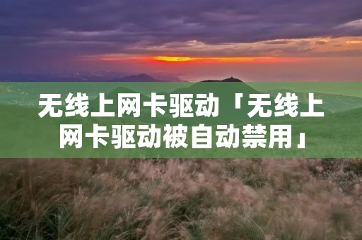 无线上网卡驱动「无线上网卡驱动被自动禁用」 无线上网卡驱动「无线上网卡驱动被自动禁用」