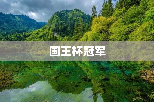国王杯冠军：无敌巴塞罗那霸气夺冠