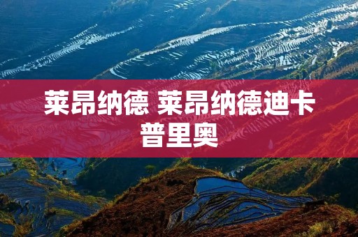 莱昂纳德 莱昂纳德迪卡普里奥