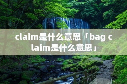 claim是什么意思「bag claim是什么意思」 claim是什么意思「bag claim是什么意思」
