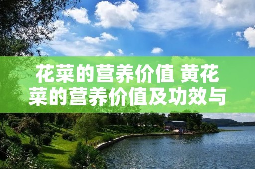 花菜的营养价值 黄花菜的营养价值及功效与作用 花菜的营养价值 黄花菜的营养价值及功效与作用
