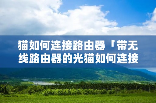 猫如何连接路由器「带无线路由器的光猫如何连接路由器」 猫如何连接路由器「带无线路由器的光猫如何连接路由器」