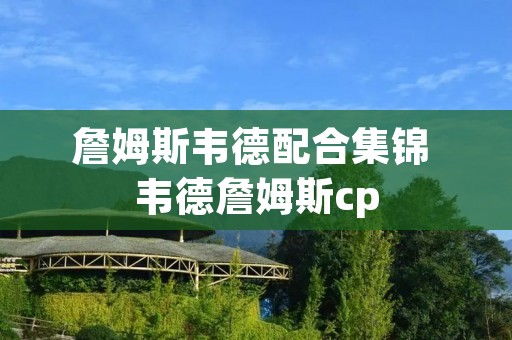 詹姆斯韦德配合集锦 韦德詹姆斯cp 詹姆斯韦德配合集锦 韦德詹姆斯cp