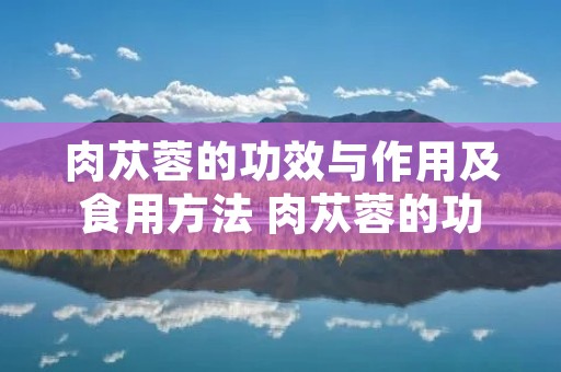 肉苁蓉的功效与作用及食用方法 肉苁蓉的功效与作用及食用方法中华康网