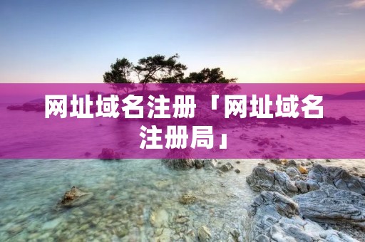 网址域名注册「网址域名注册局」