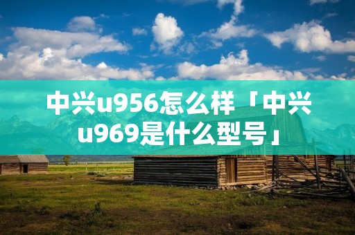 中兴u956怎么样「中兴u969是什么型号」
