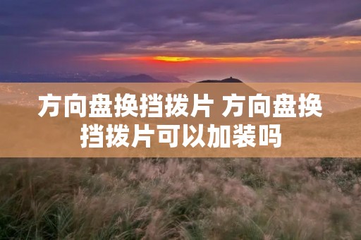 方向盘换挡拨片 方向盘换挡拨片可以加装吗