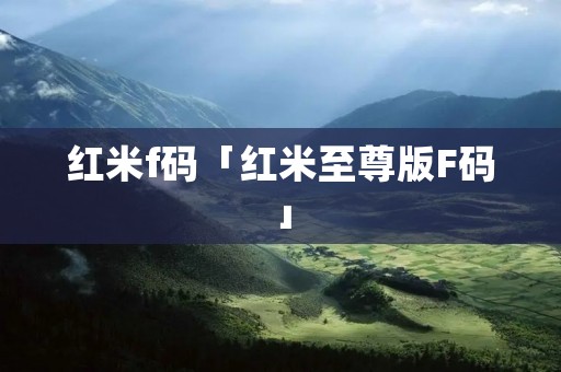 红米f码「红米至尊版F码」