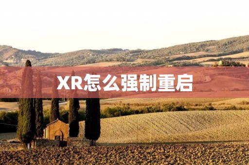 XR怎么强制重启