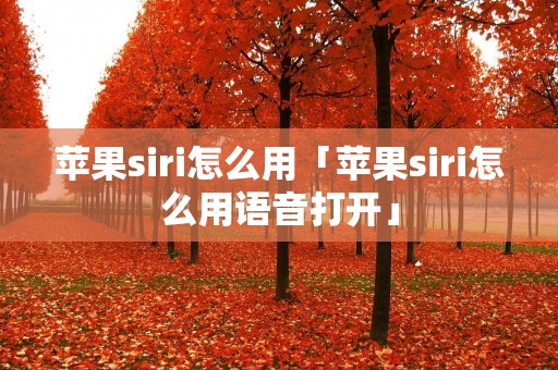 苹果siri怎么用「苹果siri怎么用语音打开」 苹果siri怎么用「苹果siri怎么用语音打开」