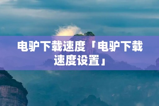 电驴****「电驴****设置」 电驴****「电驴****设置」