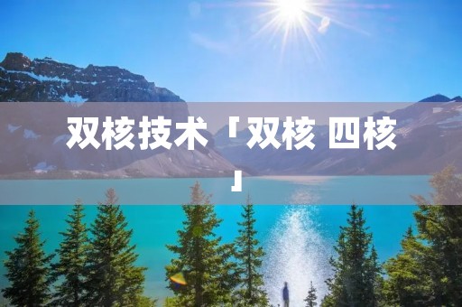 双核技术「双核 四核」 双核技术「双核 四核」