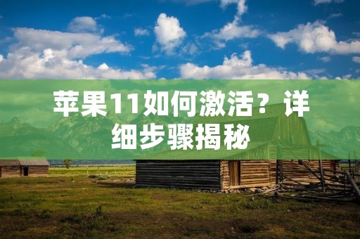 苹果11如何激活?详细步骤揭秘