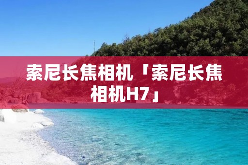 索尼长焦相机「索尼长焦相机H7」