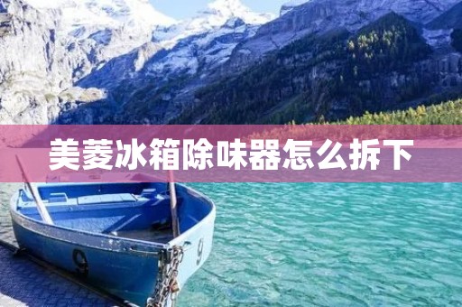 美菱冰箱除味器怎么拆下