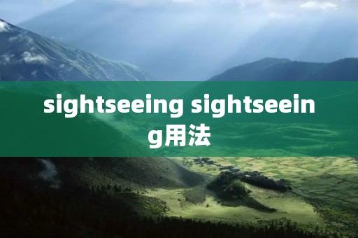 sightseeing sightseeing用法
