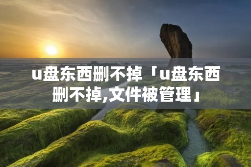 u盘东西删不掉「u盘东西删不掉,文件被管理」
