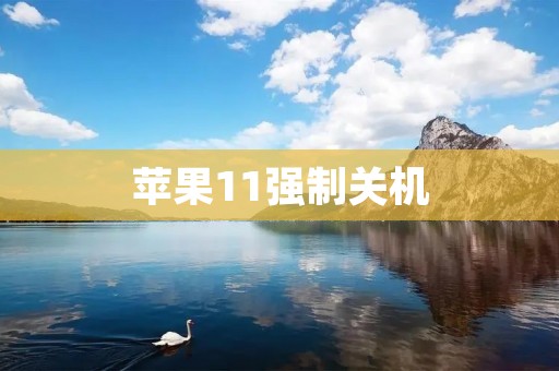 苹果11强制关机:解析问题原因及应对措施 苹果11强制关机:解析问题原因及应对措施