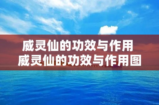 威灵仙的功效与作用 威灵仙的功效与作用图片