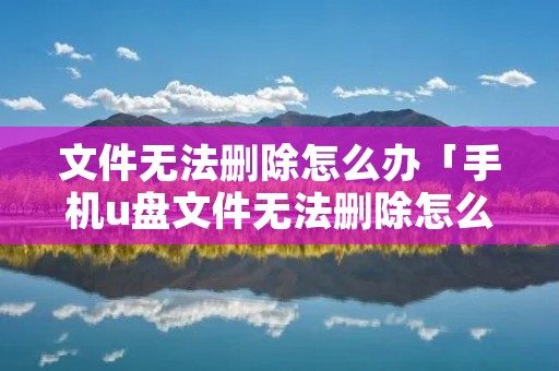 文件无法删除怎么办「手机u盘文件无法删除怎么办」 文件无法删除怎么办「手机u盘文件无法删除怎么办」