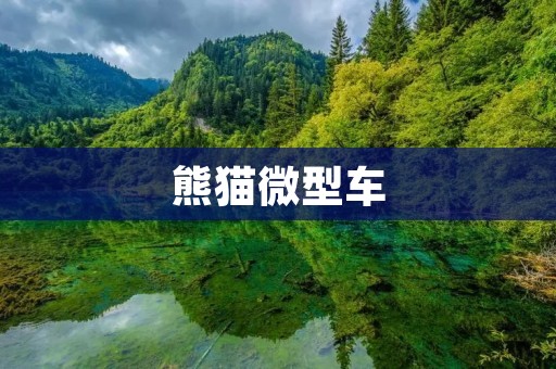 熊猫微型车:让城市生活更加便捷与环保 熊猫微型车:让城市生活更加便捷与环保