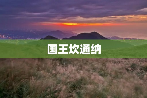 国王坎通纳:探索古老王国的辉煌与谜团 国王坎通纳:探索古老王国的辉煌与谜团