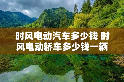 时风电动汽车多少钱 时风电动轿车多少钱一辆