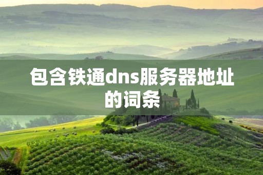 包含铁通dns服务器地址的词条