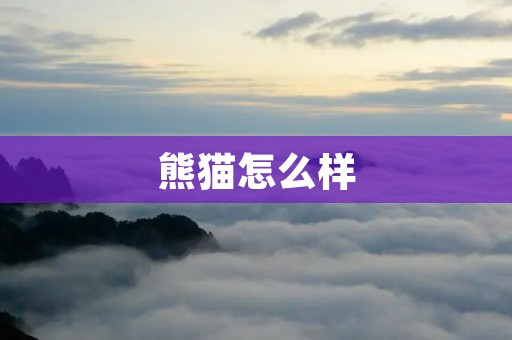 熊猫怎么样:中国国宝的熊猫 熊猫怎么样:中国国宝的熊猫