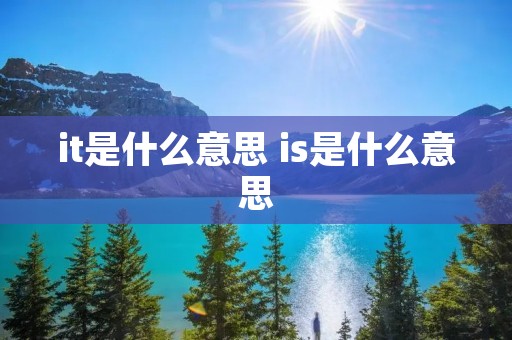 it是什么意思 is是什么意思