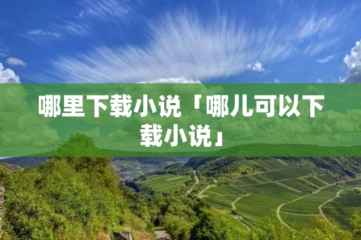 哪里下载小说「哪儿可以下载小说」 哪里下载小说「哪儿可以下载小说」