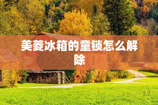 美菱冰箱的童锁怎么解除