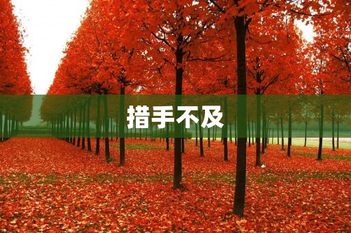 措手不及:当突如其来的危机来临时,我们该如何应对?