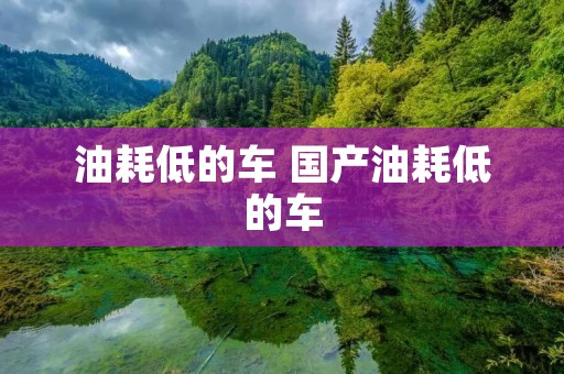 油耗低的车 国产油耗低的车
