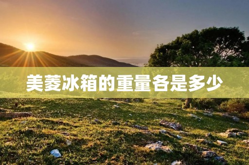 美菱冰箱的重量各是多少 美菱冰箱的重量各是多少