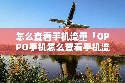 怎么查看手机流量「OPPO手机怎么查看手机流量」 怎么查看手机流量「OPPO手机怎么查看手机流量」