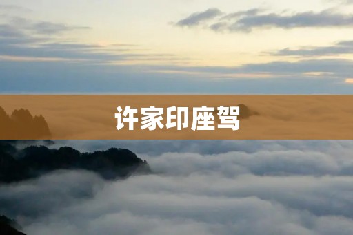 许家印座驾:豪车背后的实力象征 许家印座驾:豪车背后的实力象征