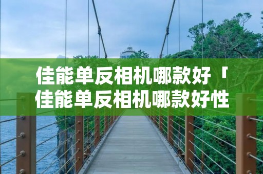 佳能单反相机哪款好「佳能单反相机哪款好性价比高」